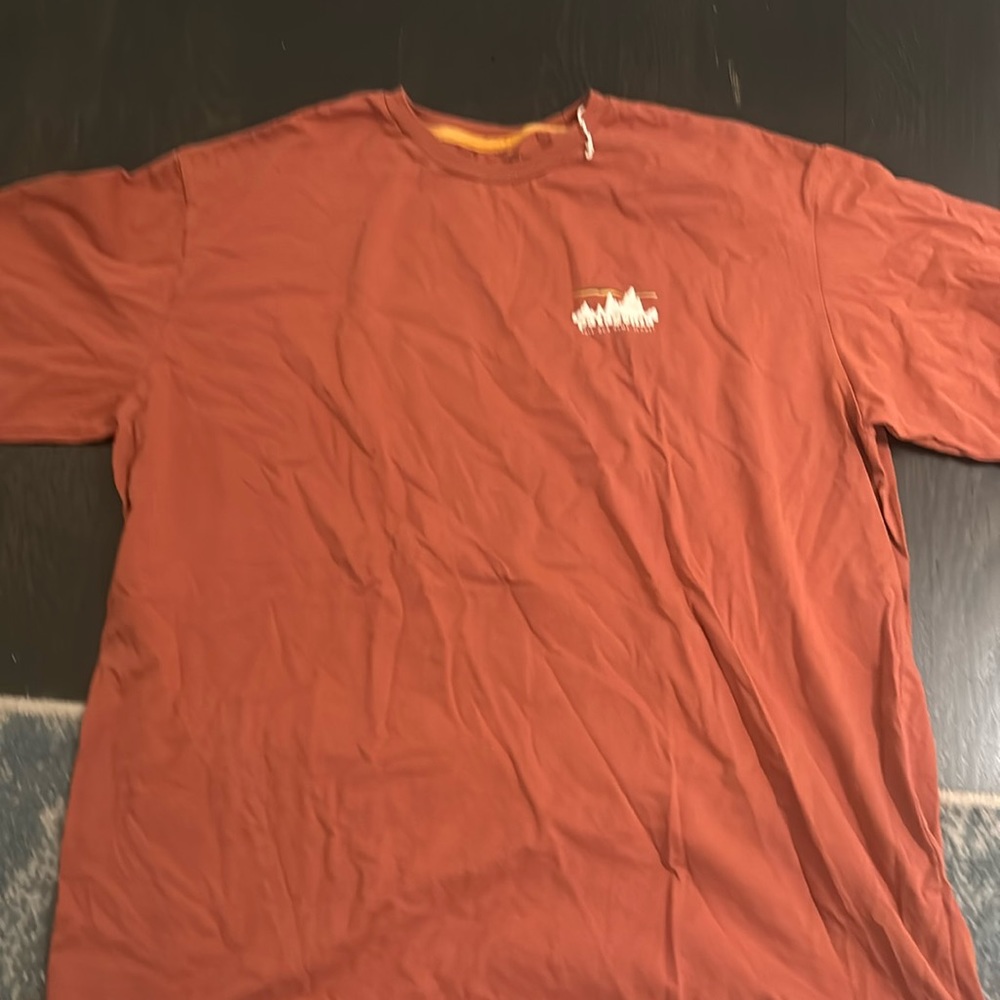 Lightly work Patagonia tee